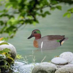 Nordic Flutuante Duck Decoy, Patos Simulação, Caça Duck, Piscina Jardim, Jarda, Lago, Decoração Home, Acessórios de Jardim - Image 4