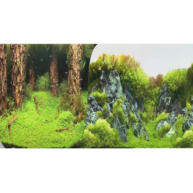 Fundo 3D Adesivo para Aquário com Plantas do Oceano e Pintura Decorativa