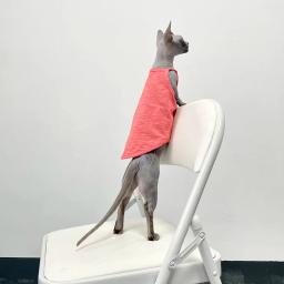 Multicolor Sphynx Pet Clothes para gatos, Roupas de gatinhos de algodão, Gatos sem pêlos Camisola, Soft Devon Rex Vestuário, Colete de gatinho - Image 3