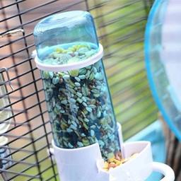 Bebedor água para pássaros, fonte automática para beber água, gaiola papagaio para animais estimação, dispensador - Image 3