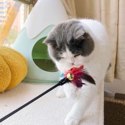 Brinquedos interativos do gato engraçado penas aves com sinos gatinhos jogar teaser vara brinquedos gato suprimentos acessórios do gato - Image 4