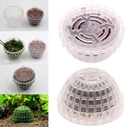 1pc aquatic suprimentos para animais de estimação decorações aquário musgo bola filtro de plantas ao vivo para java camarão tanque de peixes pet decoração do tanque de peixes - Image 6