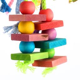 Madeira papagaio pássaro brinquedos pendurado corda escada para animais de estimação multicolorido corda de algodão de madeira pássaros mascar brinquedo treinamento pendurar balanço suprimentos para animais de estimação - Image 3