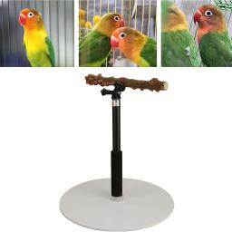 Altura ajustável Parrot Poleiro Stand, Suporte para Treinamento Indoor e Outdoor Bird, Toy Parakeet, 12.9-36.2in - Image 6