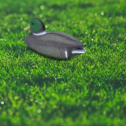 Flutuante Duck Decoy Patos Simulação Caça Duck Garden Pool Yard Lake 26x11.5cm Decoração para casa Jardim Acessórios - Image 3