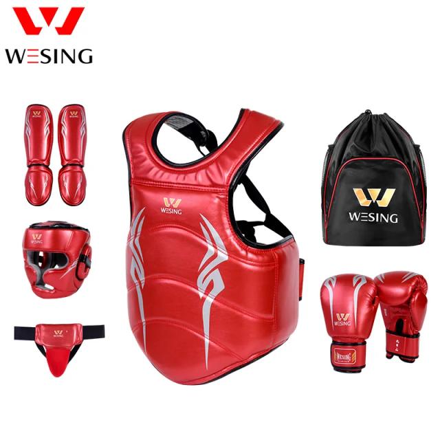 Conjunto de Equipamentos de Artes Marciais para Crianças: Protetores para Treinamento de Wushu Sanda com Frete Grátis - 8 Peças