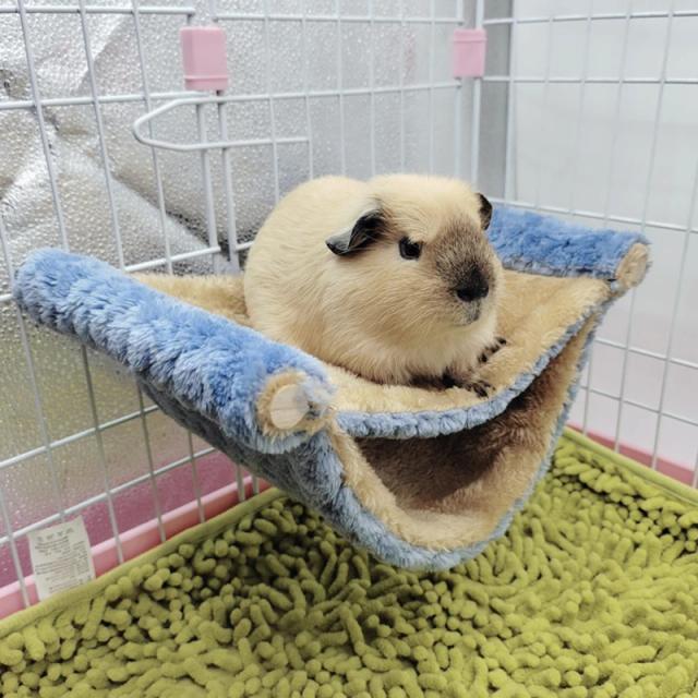 Cama Quente Dupla Grossa para Hamster: Ninho Aconchegante e Saco de Dormir Pendurado para Pequenos Animais