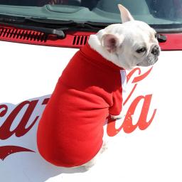Jaqueta de beisebol para cães pequenos e médios, colete pet moletom buldogue francês traje chihuahua casaco pug roupa de cachorro, inverno - Image 4