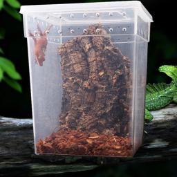 Reptile Feeding Box for Frog Spider e Gecko, Turtle Tank, Tarantula Enclosure, Lizard Container, Animais, Terrário, Container - Image 1