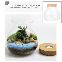 Micro Garrafa De Vidro Paisagem com Luz LED, Bola De Boca, Vaso De Musgo, Terrário Hidropônico, Recipiente Do Tanque De Peixes - Image 4