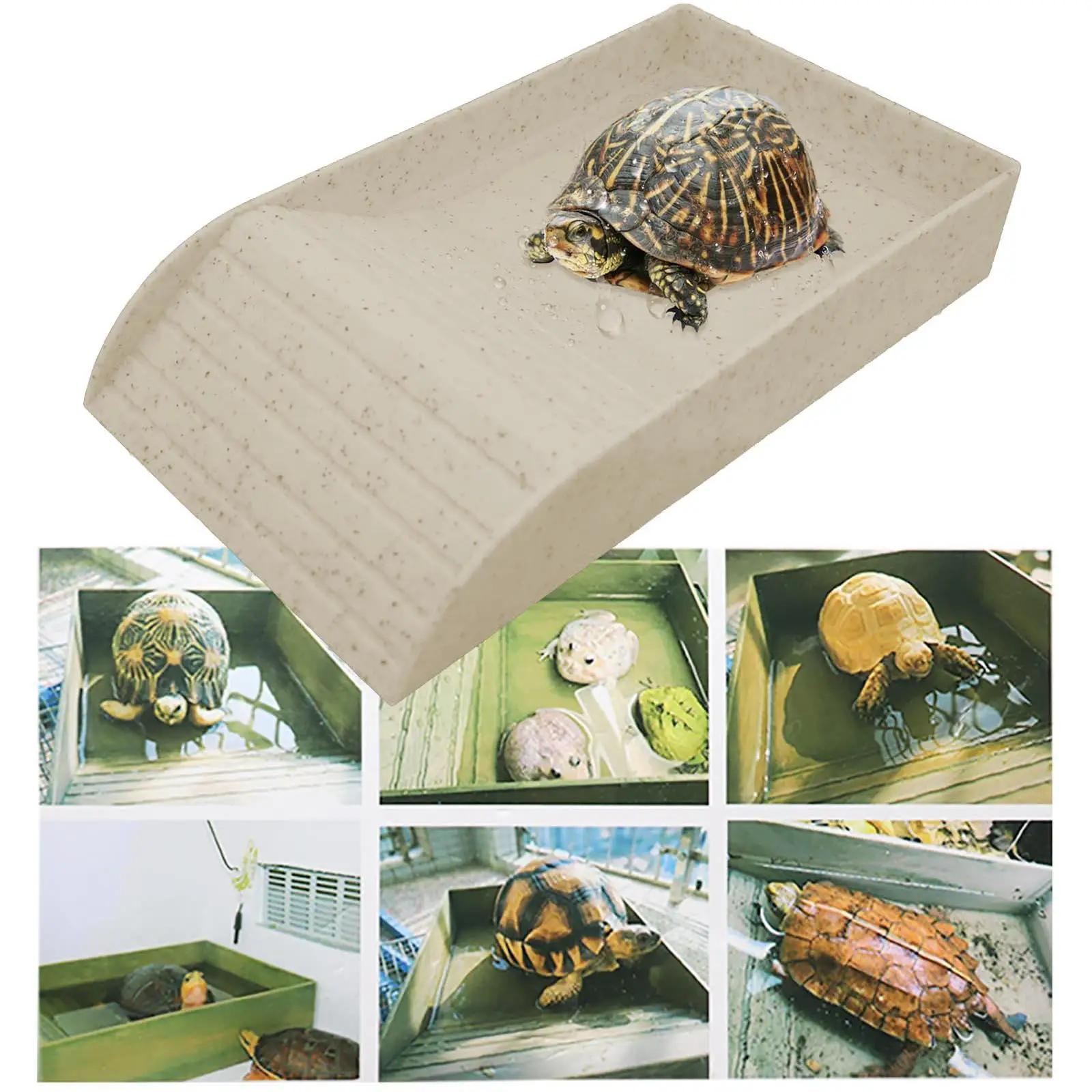 Prato De Alimentação De Répteis, Anfíbios Acessórios, Tigela De Terrário, Prato De Água De Tartaruga, Tartaruga Cobra Leopardo, Hamster, Escorpião - Image 1