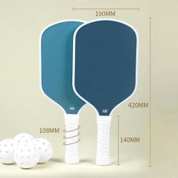 FEYA Pickleball Raquete Esportiva de Fibra de Carbono USAPA Pickleball Cor Sólida Raquete Padrão Pickleball Conjunto Ao Ar Livre Esportes Leves - Image 2