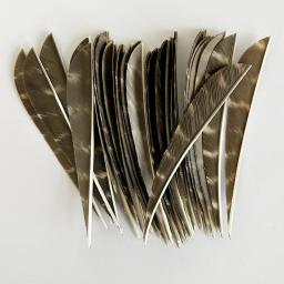 Preto Natural Turquia Pena para Tiro com Arco, Penas Flecha, Fletching Floral, Direita, Acessórios de Caça, 3 ", 4", 5 ", 50 Pcs - Image 6