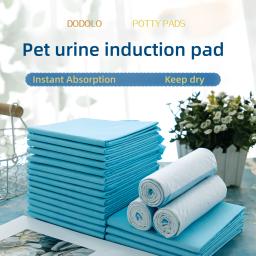 Fraldas absorventes descartáveis para cães, Puppy Training Pee Pads, Quick Dry Surface Mat, Almofada Limpa, Dog Supplies, 100, 50, 40, 20Pcs - Image 1