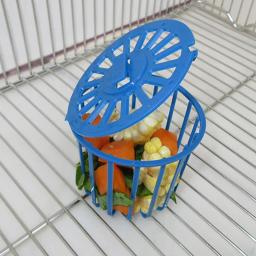 Gaiola Alimentadora de Pássaros e Papagaio, Suporte de Frutas e Vegetais, Cesta Pendurada, Brinquedos, Pet Supplies, Budgie Cage, Acessórios, 1Pc - Image 4