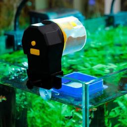 Alimentador automático de tanques de peixes Tempo inteligente Alimentador de aquário de grande capacidade Tanque de peixes portátil Distribut de alimentos 12 horas, 24 horas - Image 2