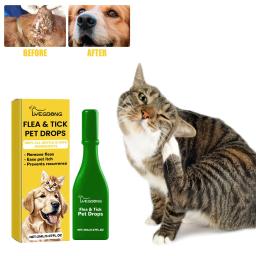 Inseto Repelente Pet Tick Tratamento Gotas, Anti Flea, remoção de piolhos, aliviar a pele coceira, externo Desparasitação Suprimentos, gato - Image 1