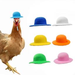 1pc capacete de frango pequeno animal de estimação capacete pássaro codorna pombo chapéu chapelaria pet pássaro capacete diy personagem dos desenhos animados capacete suprimentos para animais de estimação - Image 1