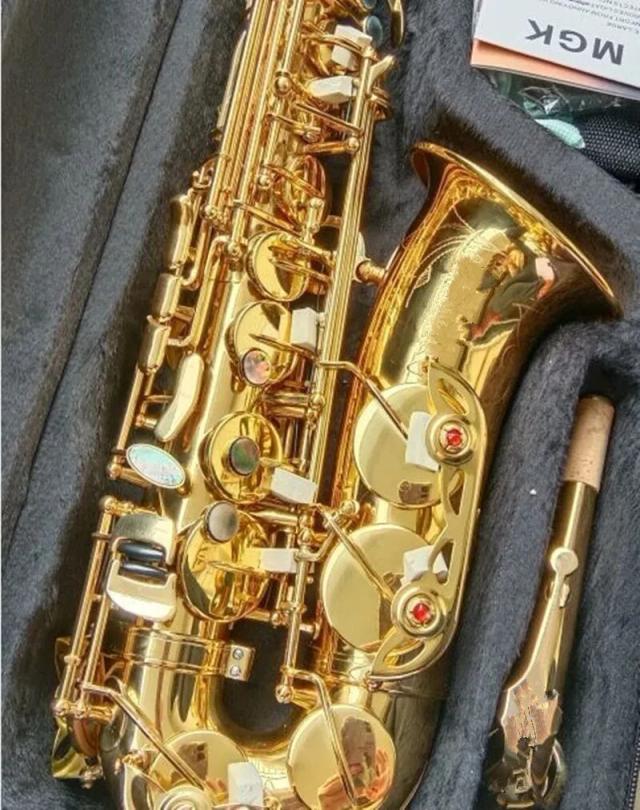 Saxofone Alto R54 Dourado com Bocal e Case - Novo e de Alta Qualidade