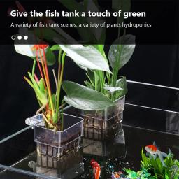Copos De Plantador De Aquário De Suspensão De Parede, Suporte De Plantas, Pote De Tanque De Peixes, Cesta De Plantas - Image 2