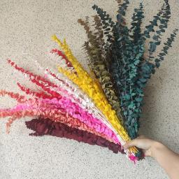 5/10 pçs natural preservado eucalipto deixa grande ramo arranjo de flores diy artesanato decoração casa seca folhas de eucalipto - Image 5