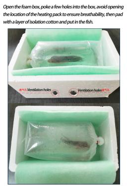 925 presentes pacote de aquecimento aquário 40/72/110 horas transporte kit de aquecimento réptil animal estimação tropical planta de peixes pacote de calor para o transporte - Image 5