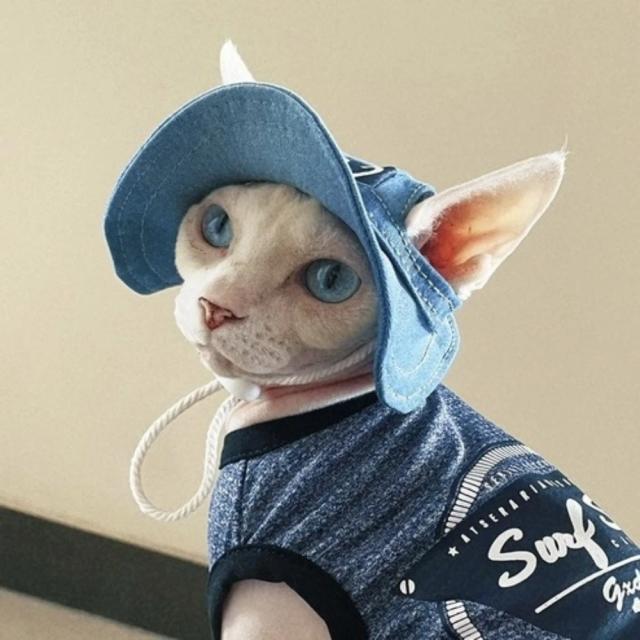 Chapéu de Protetor Solar Estiloso para Gatos Spyhnx e Devon Rex - Verão em Jeans Listrados Vermelho e Azul, Ideal para Fotos e Acessórios para Pets