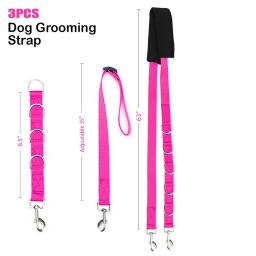 Ajustável cão grooming barriga cinta, D-anéis banho banda, tamanho livre cinto de tração, coleira, pet fornecimentos, 3pcs - Image 6