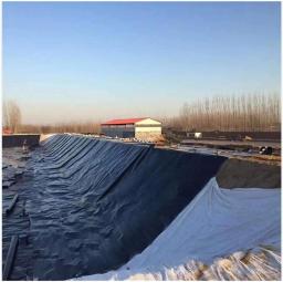 Farm Irrigation Tank, HDPE Geomembrana, membrana impermeável, flexível Aquaculture Pond Dam Liner, 1,5mm - Image 4