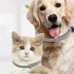 Coleira anti-pulgas ajustável para Pet, repelente de insetos, coleira anti mosquito para grandes animais de estimação, acessórios para cães, cachorro e gato, desparasitação Vitro - Image 1