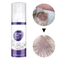 Pet ferida spray cuidados com a pele para cães e gatos, cura ajuda, reparação da pele, anti coceira, cão saúde suprimentos - Image 1