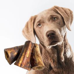KIT MORDEDOR NATURAL TUBINHO CANELA DEFUMADA PARA CÃES 3PÇ - Image 3