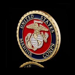 Moeda banhada a ouro do exército dos EUA com caixa de moedas luxuosa, colecionáveis, Corpo de Fuzileiros Navais, Liberdade, Águia, W - Image 6