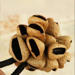 Sinos de Mão para Meditação, Diatonic Wind Chimes, Percussão, Profissional, Espiritual, Rara, Instrumento Musical, Sons de Cura, Alpinista - Image 1