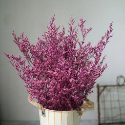 Flor preservada buquê limonium valentium presente amor grama natural flores secas para decoração de casamento arranjo material - Image 3