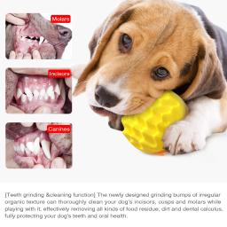 Chew Ball Toy para cães de pequeno e médio porte, Squeaky Interactive, Melhorar o QI, Brinquedos de cachorro, Chihuahua, Yorkshire Dentes - Image 5