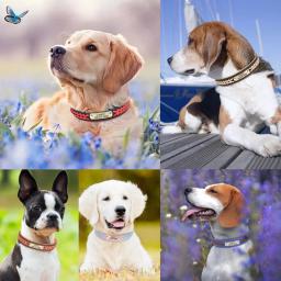 Coleira de couro PU personalizado, Anti-Lost ID Tag, placa de identificação de gravura grátis para cães pequenos, médios e grandes, Pitbull - Image 5