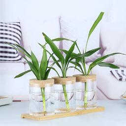 Vaso De Flor De Vidro Redondo Com Rolha De Madeira, Recipiente Hidropônico, Micro Paisagem, Garrafa Ecológica - Image 5