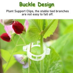 Clipes De Suporte De Plantas, Clipes De Tomate, Clipes De Jardim Reutilizáveis, Suporte Videiras De Uva, Frutas e Plantas Vegetais, 100 Unidades, 200 Unidades - Image 6