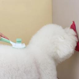 Tigela anti-asfixia para animal de estimação, tigela de comida lenta para cachorro e gato, acessórios grandes e antiderrapantes com várias cores - Image 2