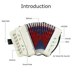 Sanfona-Botões Acordeon Acordeon Instrumento Musical, Toy Piano Teclado, Brinquedo Musical, Bayan Música Concertina, Gaita Ammoon - Image 4