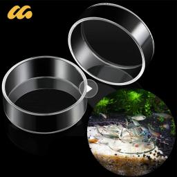 Prato De Alimentação De Vidro Para Peixes Tropicais Alimentador De Aquário, Bandeja Redonda Clara, Reduzir Sucatas De Alimentos, Ferramentas Do Tanque De Peixes, Ratfish - Image 1
