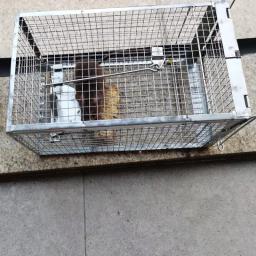 Alta Sensibilidade Grande Mouse Cage, Armadilha De Mouse Material Galvanizado Cercado, Armadilha De Controle De Pragas, Jardinagem Doméstica, 1Pc - Image 5
