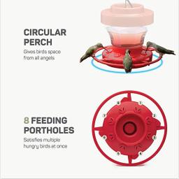 Alimentador de pássaros ao ar livre com 8 portas de alimentação Alimentador destacável de beija-flor Dispositivo de alimentação de água Estilo gaiola - Image 5