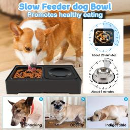 Double Stainless Stand Pet Feeding Dish Elevated Dog Bowls Altura ajustável Big Dog Food Water Feeders para cães - Image 4