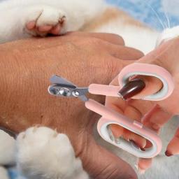 Aparador de unhas para pequenos animais de estimação, cortador de unhas de cachorro, tesoura pequena redonda, aparador anti-júri, ferramenta profissional de aliciamento - Image 2