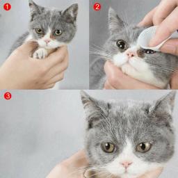 Toalhetes portáteis para Pet, Lágrima de Olhos, Removedor de Manchas de Orelha, Toalhas de Limpeza para Cães e Gatos, 130PCs - Image 4