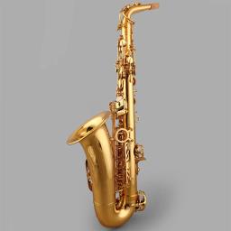 Alex AAS-200 eb saxofone alto instrumento musical adultos iniciantes - Image 4