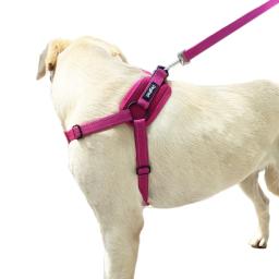Ajustável Nylon Pet Chest Harness, Puppy Dog Collar, Pet Acessórios Suprimentos, Terno de luxo - Image 6