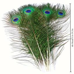 Longas penas naturais pavão adequado para vaso artesanato, decoração do casamento, festa em família, Natal, em massa, 50 pcs - Image 2